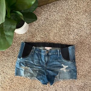 Maternity Jean Shorts